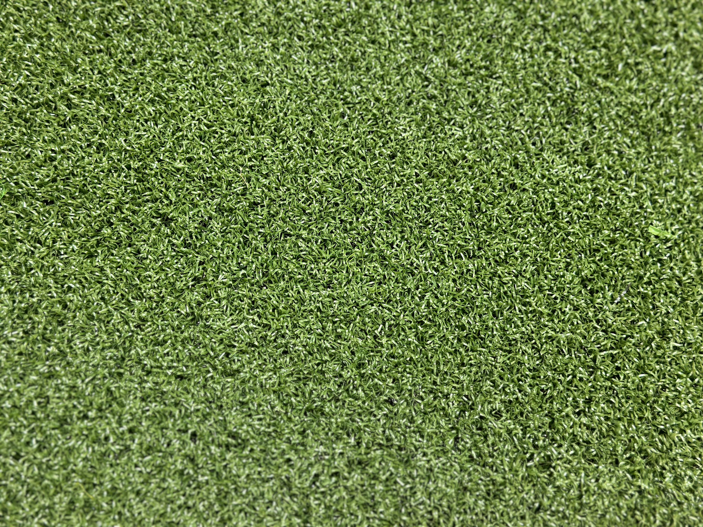Pro Putt MG Turf