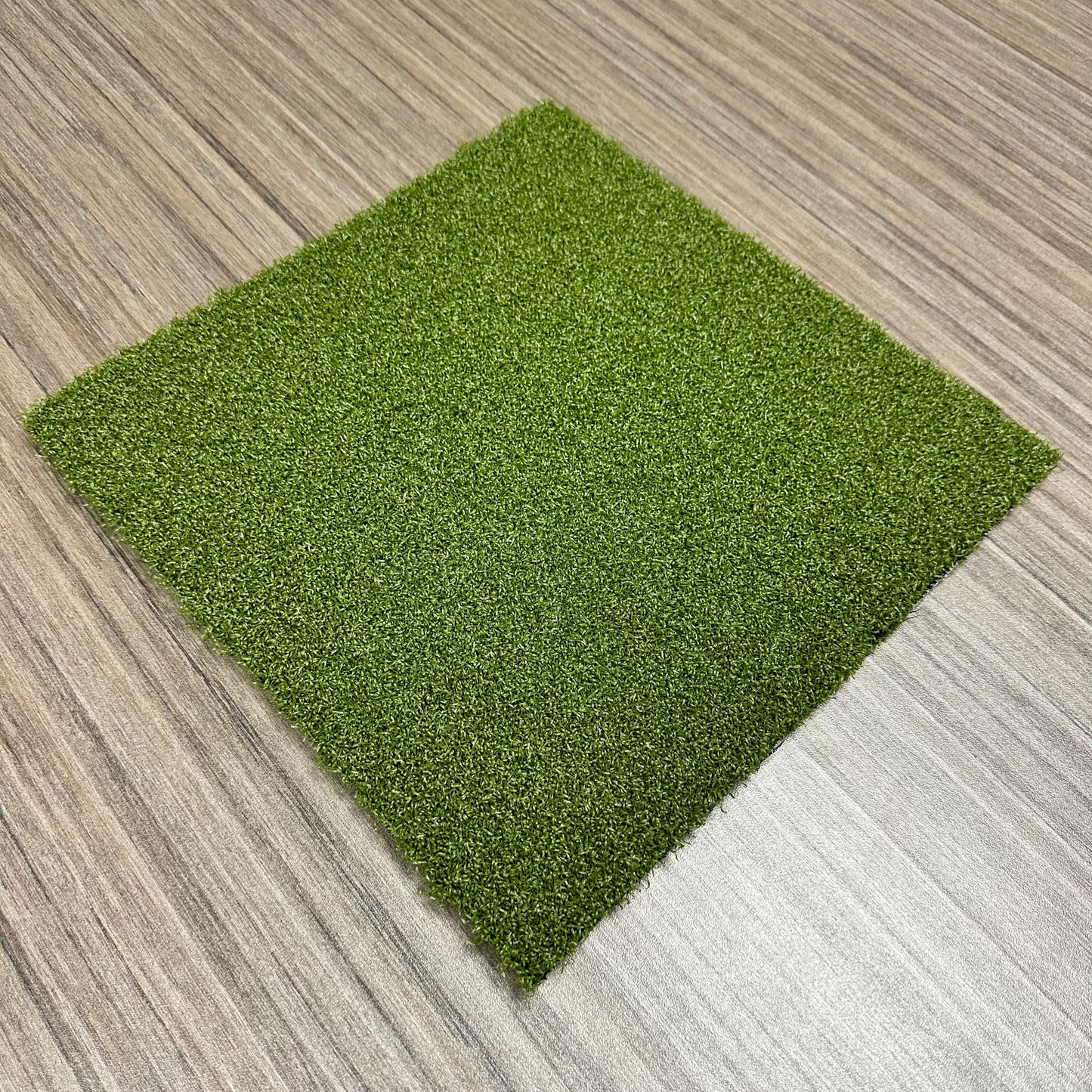 Pro Putt Tour Putting Turf