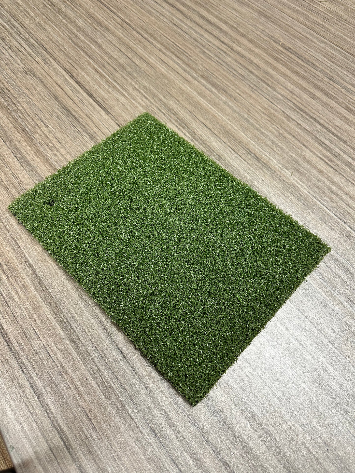 Pro Putt MG Turf